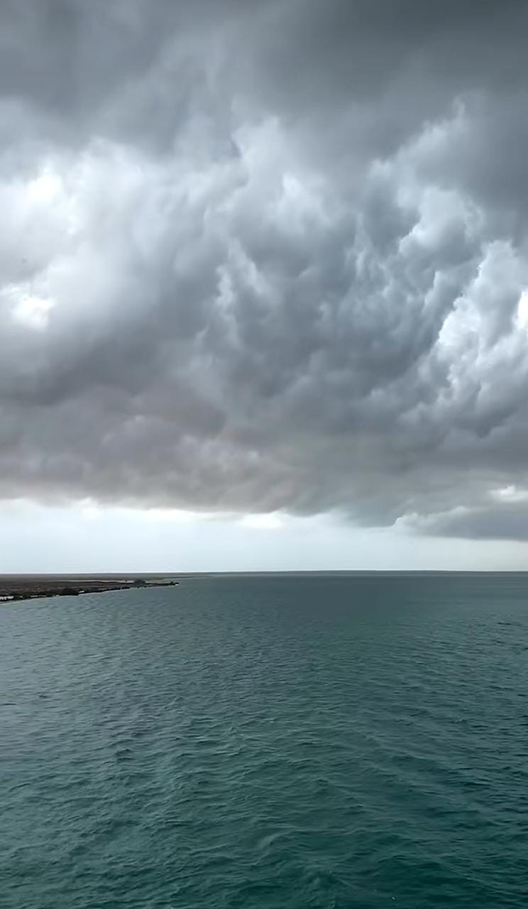 صورة مساحة الصور