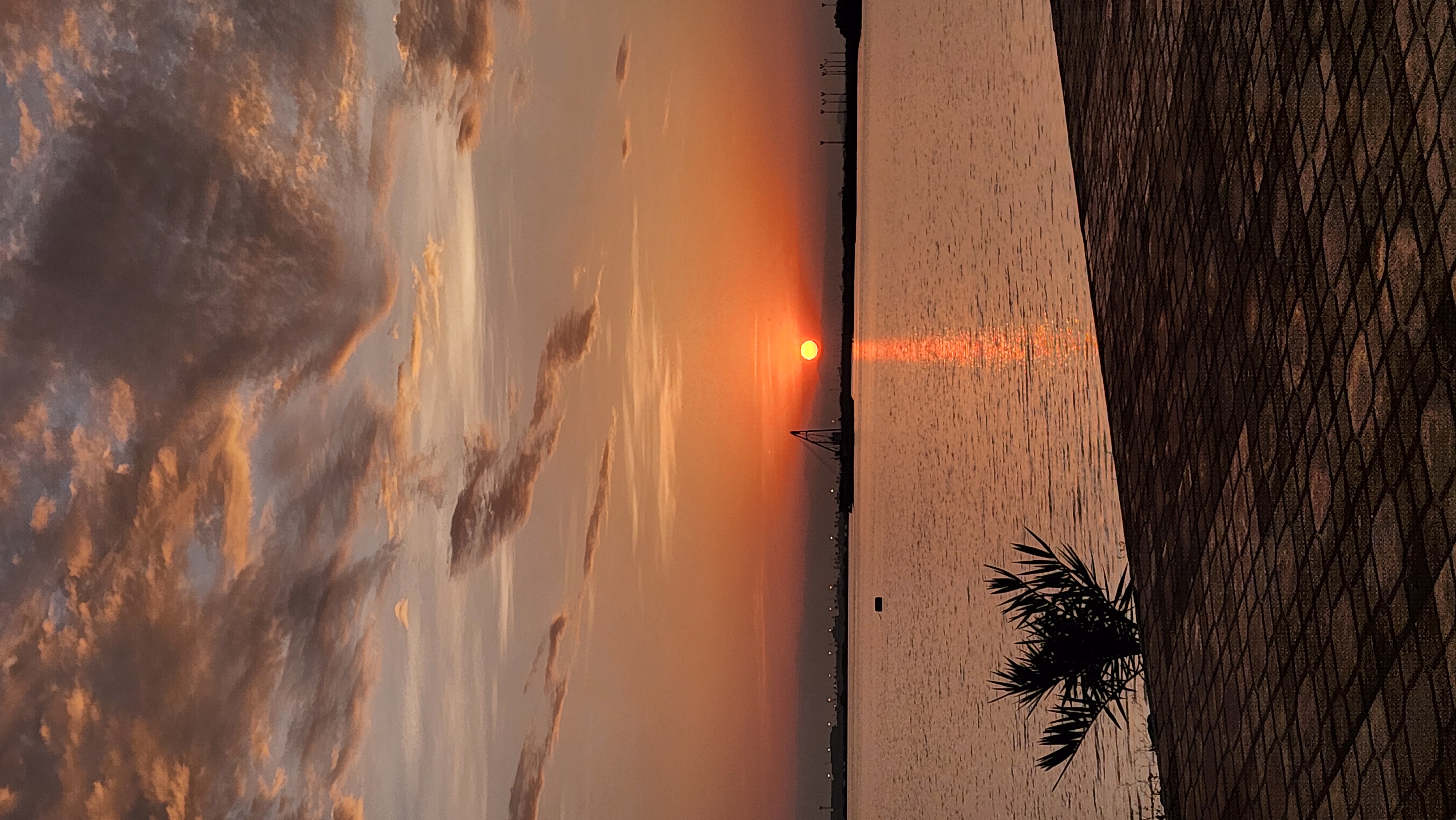 صورة مساحة الصور
