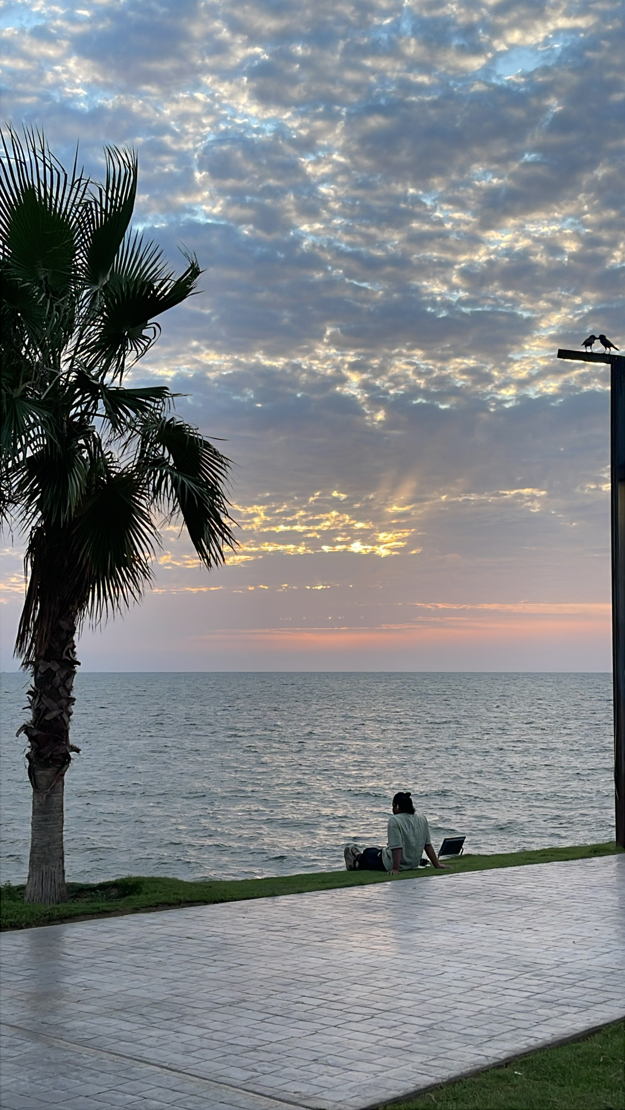صورة مساحة الصور