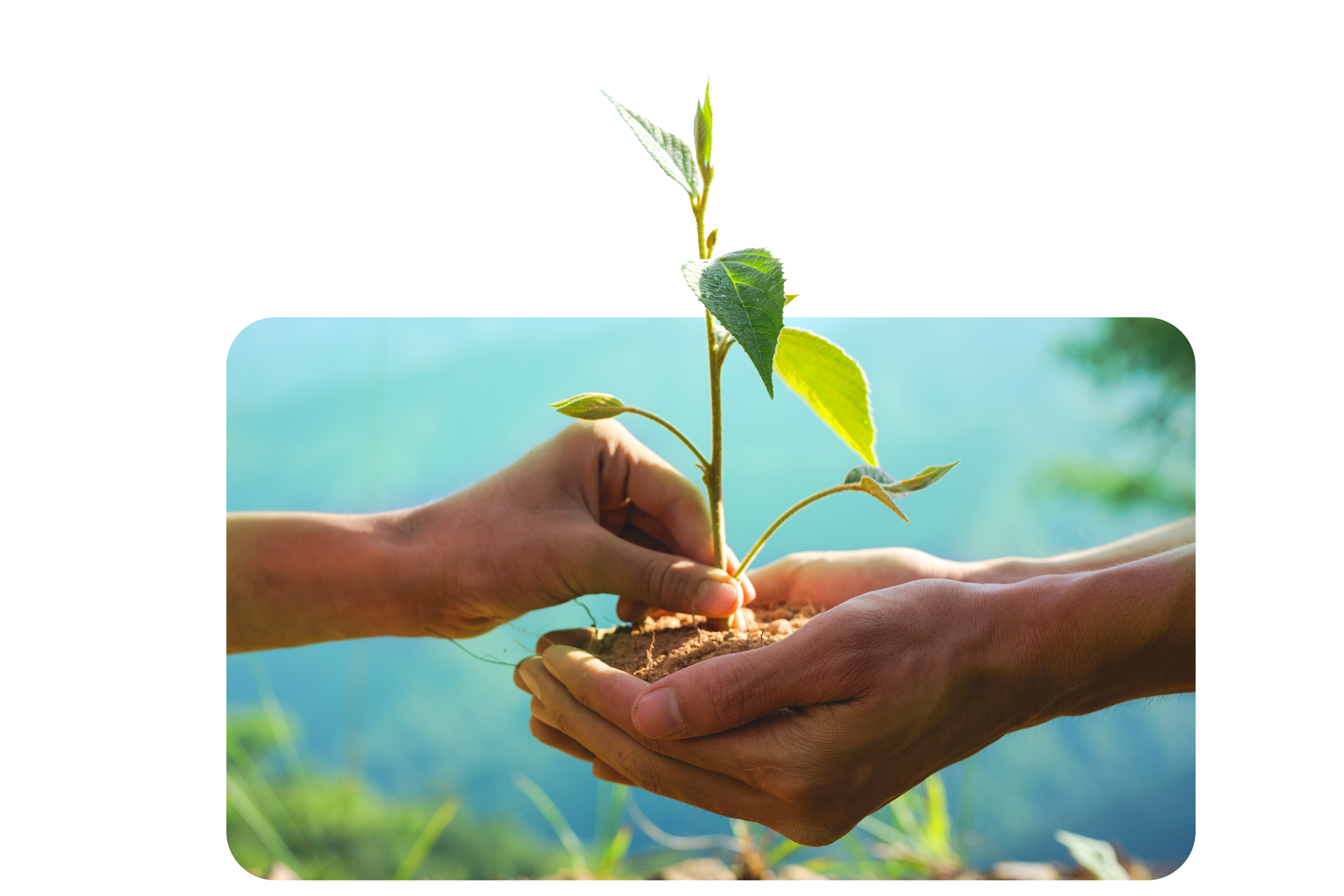 منصة نطورها سوا